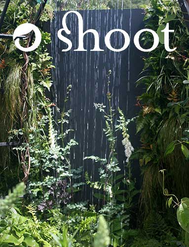 Shoot Gardening. Rae Wilkinson Garden and Landscape Design Surrey, Sussex, Hampshire, London, South-East England