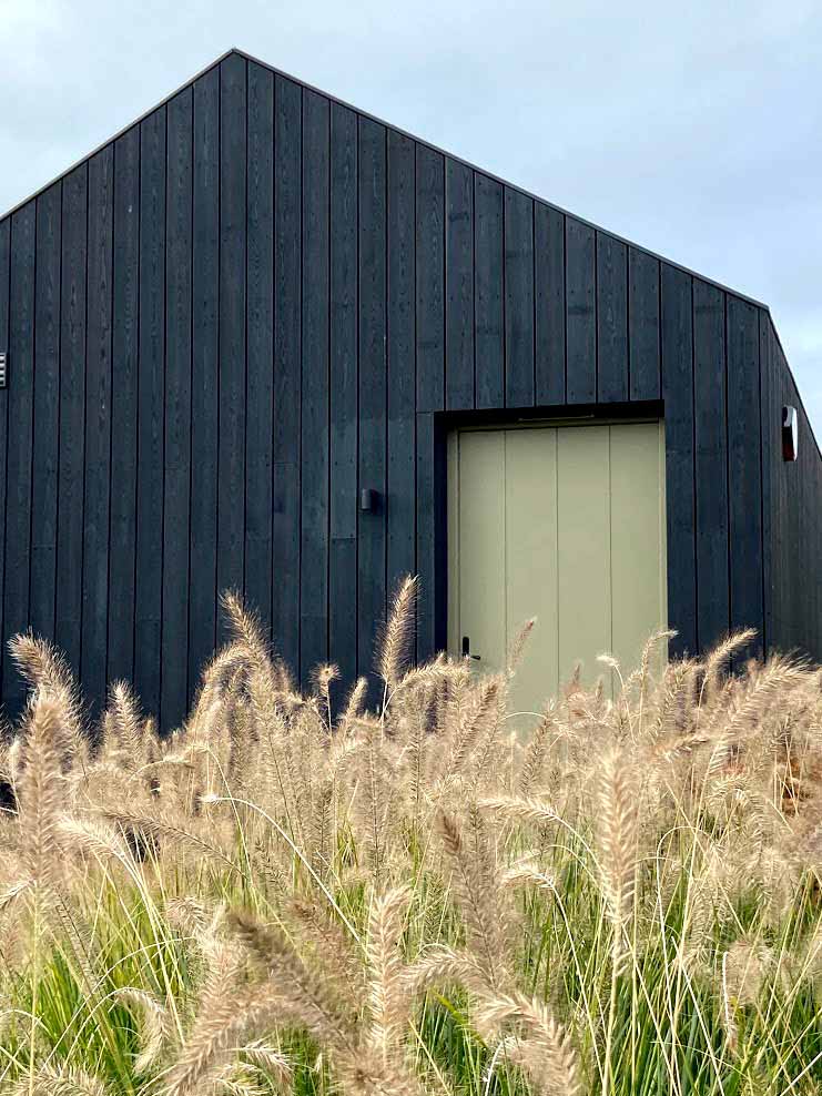 Black barn with grasses. Rae Wilkinson Garden and Landscape Designer Surrey, Sussex, Hampshire, London, South-East England