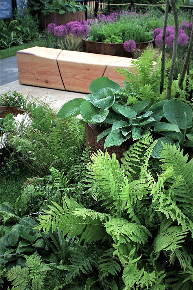 Rae Wilkinson's Chelsea Show Garden with detail of bespoke wooden bench and planter. Rae Wilkinson Garden and Landscape Design Surrey, Sussex, Hampshire, London, South-East England