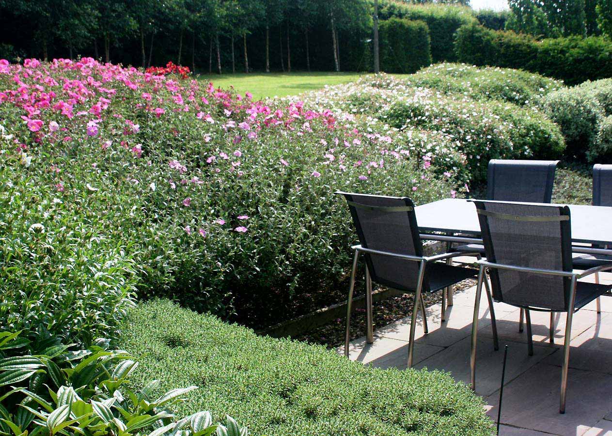 Corner of terrace with furniture surrounded by soft planting. Rae Wilkinson Garden and Landscape Design - Garden Designer Sussex, Surrey, London, South-East England