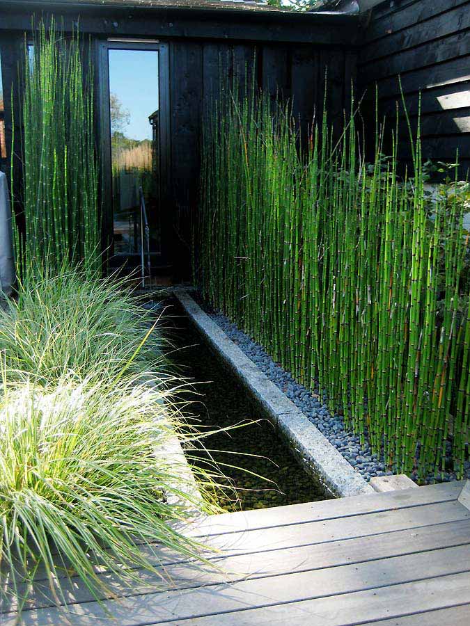 Detail of deaking and rill with bamboo. Rae Wilkinson Garden and Landscape Design - Garden Designer Sussex, Surrey, London, South-East England
