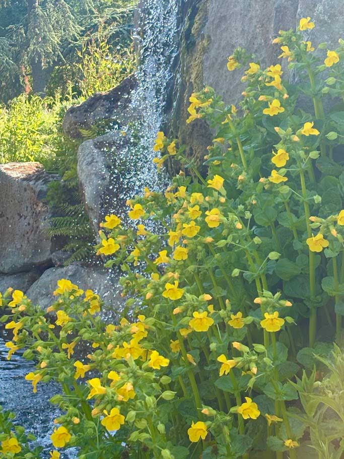 Hampshire retreat garden - Rae Wilkinson