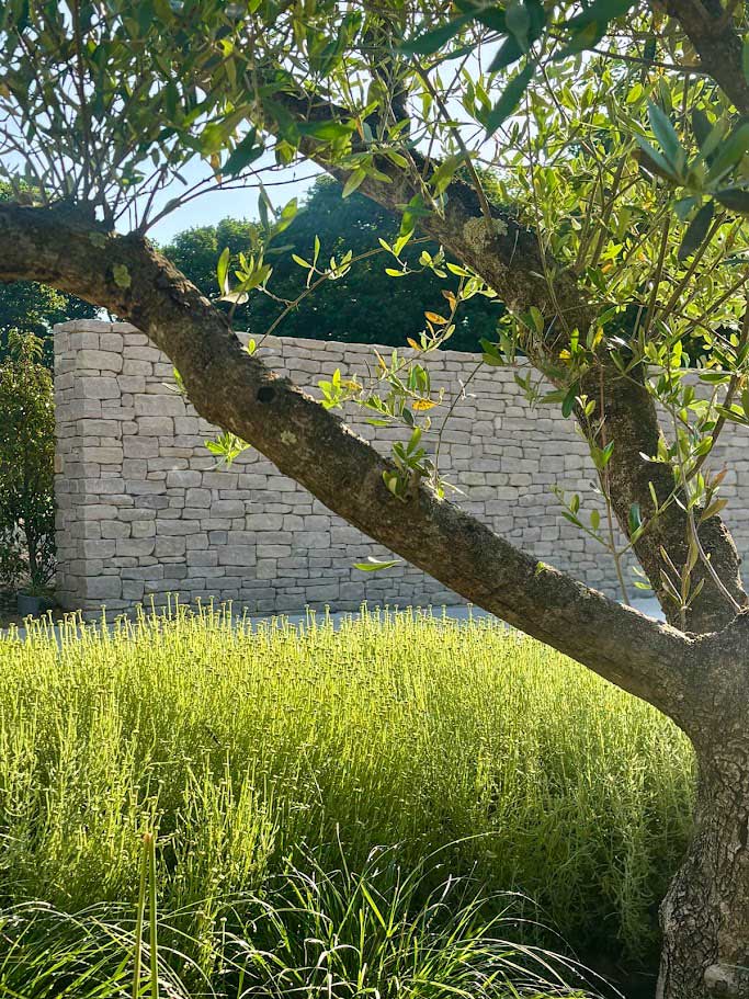Hampshire retreat garden - Rae Wilkinson