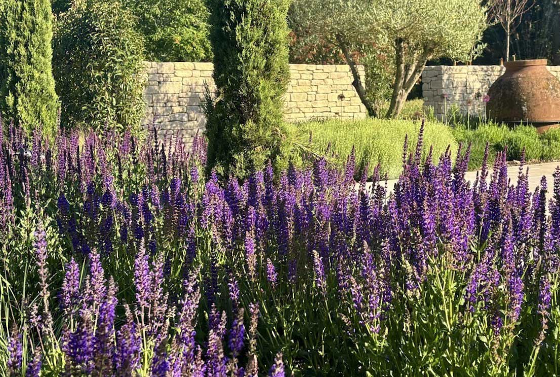 Planting in Hampshire garden - Rae Wilkinson