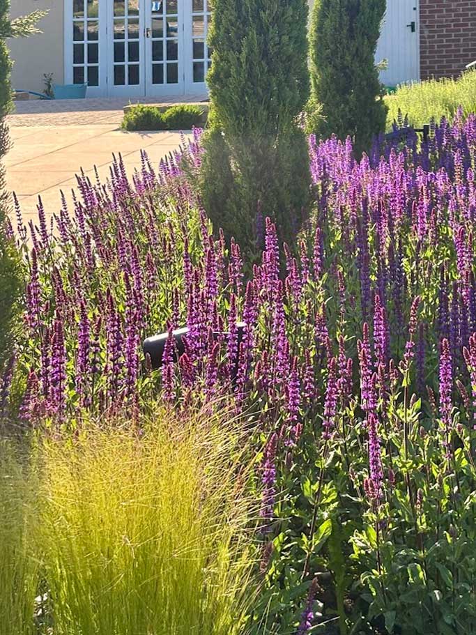 Hampshire retreat garden - Rae Wilkinson