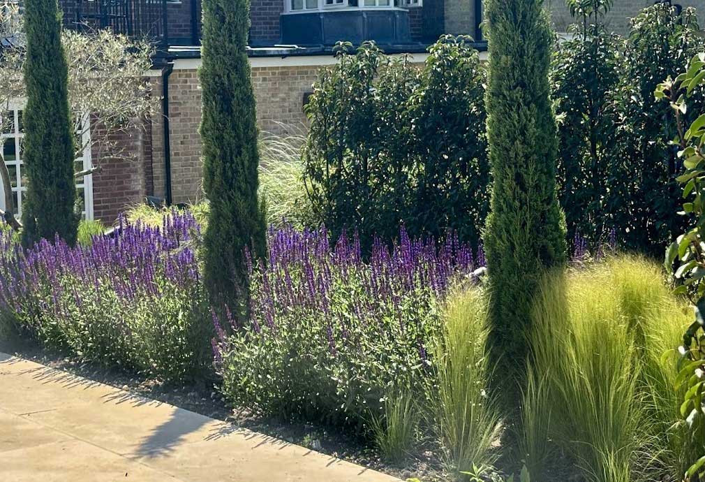 Hampshire retreat garden - Rae Wilkinson