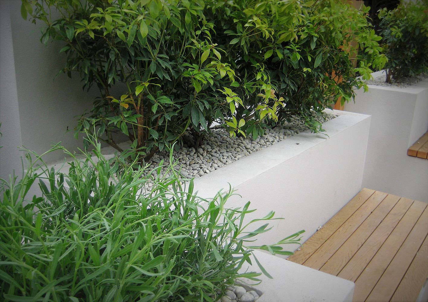 City Retreat Garden London. Seating with integrated planting. Rae Wilkinson Garden and Landscape Design Surrey, Sussex, Hampshire, London, South-East England